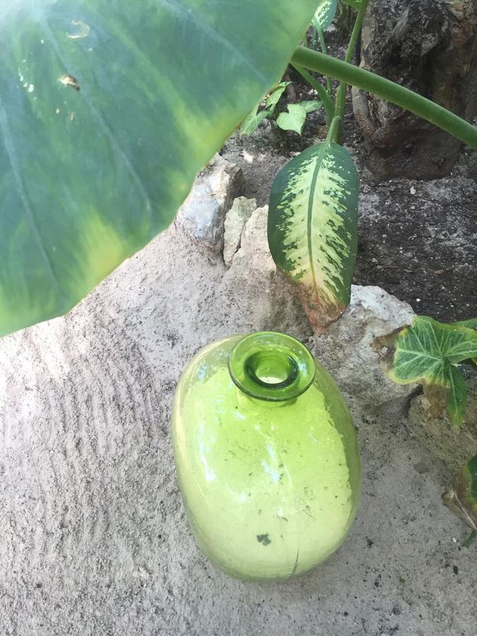 Agua Eco Design Hotel Tulum Kültér fotó