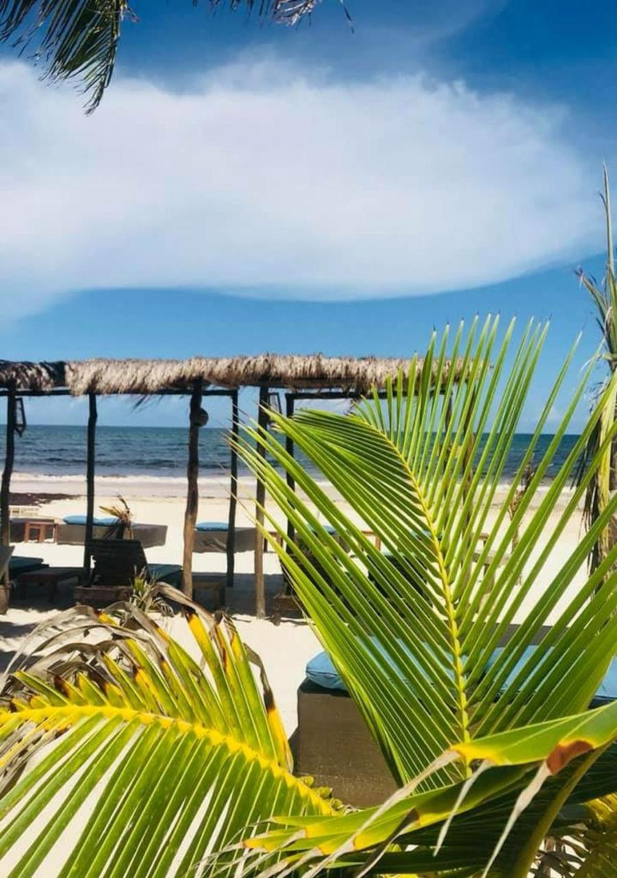 Agua Eco Design Hotel Tulum Kültér fotó